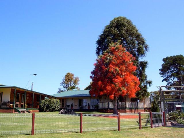Snowy River Homestead Newmerella Extérieur photo
